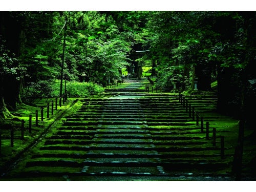 【津島発】一面の苔が神秘的!平泉寺白山神社&日本一高い坐像!越前大仏&古民家レストランで九頭竜まいたけ丼御膳1